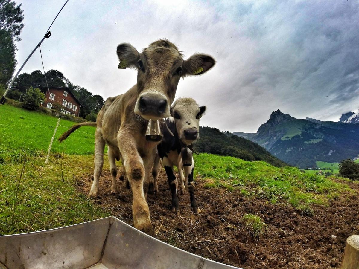 Hostel Engelberg "Mein Trail Hostel" Ngoại thất bức ảnh