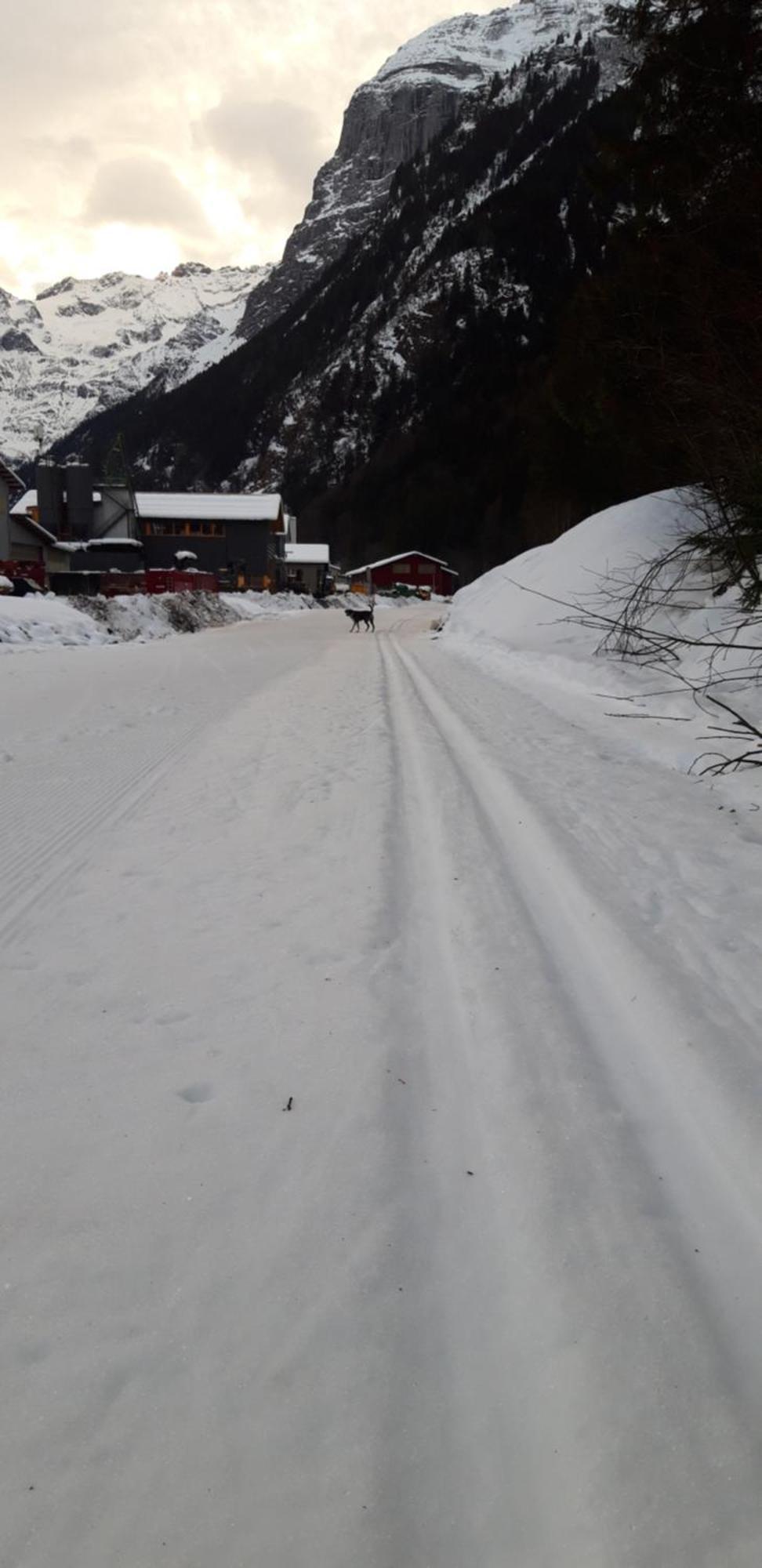 Hostel Engelberg "Mein Trail Hostel" Ngoại thất bức ảnh